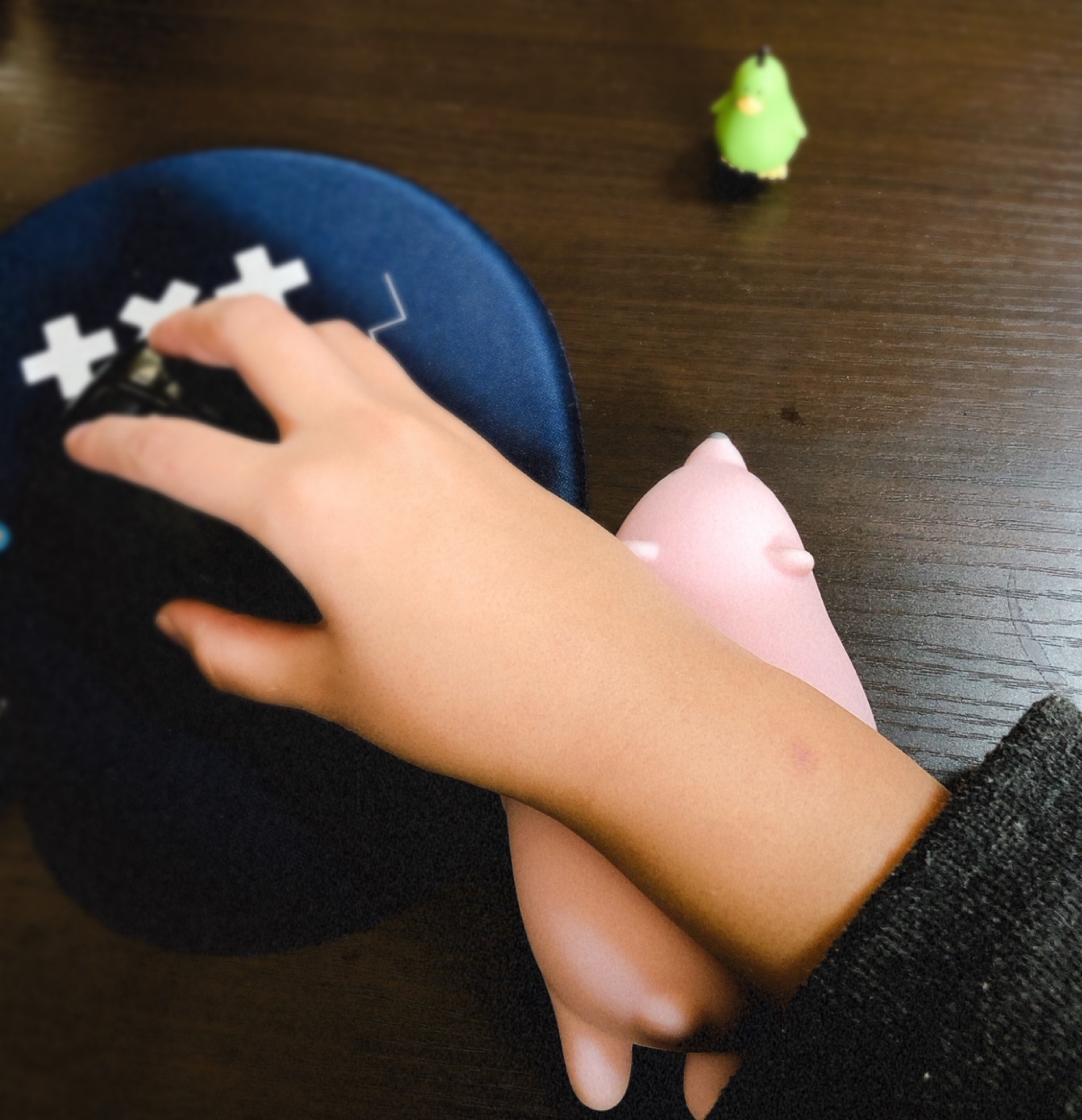 机の上の仲間が増えました